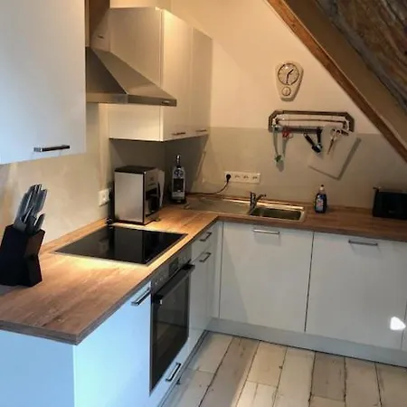 Ruhig & Idyllisch - Schloss - Maisonette-apartment Ulrichshusen Mit Dachterrrasse, Mecklenburger Seenplatte Mit Dachterrasse, Naehe Ostsee شقة Lelkendorf