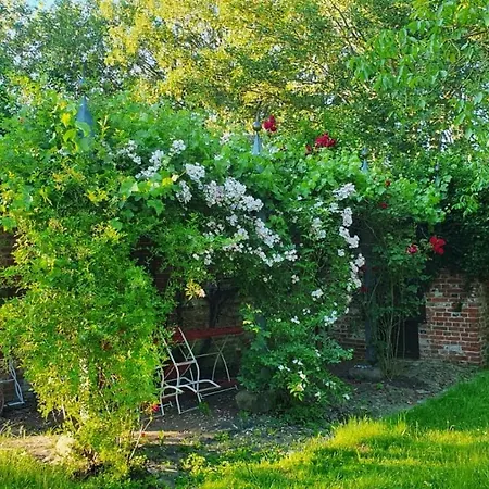 Ruhig & Idyllisch - Schloss - Maisonette-apartment Ulrichshusen Mit Dachterrrasse, Mecklenburger Seenplatte Mit Dachterrasse, Naehe Ostsee شقة