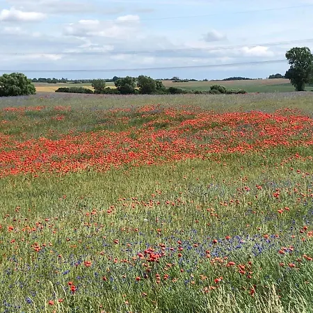 شقة Ruhig & Idyllisch - Schloss - Maisonette-apartment Ulrichshusen Mit Dachterrrasse, Mecklenburger Seenplatte Mit Dachterrasse, Naehe Ostsee Lelkendorf