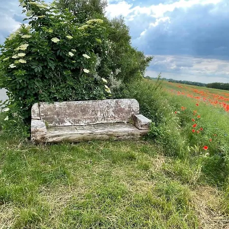 Ruhig & Idyllisch - Schloss - Maisonette-apartment Ulrichshusen Mit Dachterrrasse, Mecklenburger Seenplatte Mit Dachterrasse, Naehe Ostsee