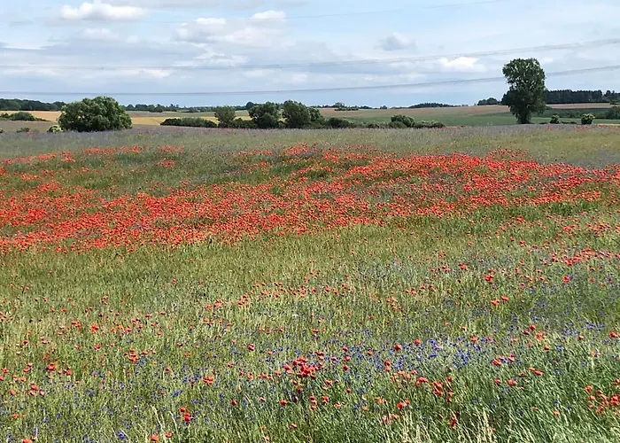 דירה Ruhig & Idyllisch - Schloss - Maisonette-apartment Ulrichshusen Mit Dachterrrasse, Mecklenburger Seenplatte Mit Dachterrasse, Naehe Ostsee Lelkendorf