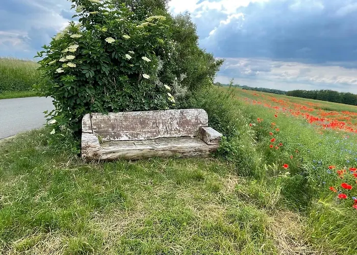 Ruhig & Idyllisch - Schloss - Maisonette-apartment Ulrichshusen Mit Dachterrrasse, Mecklenburger Seenplatte Mit Dachterrasse, Naehe Ostsee